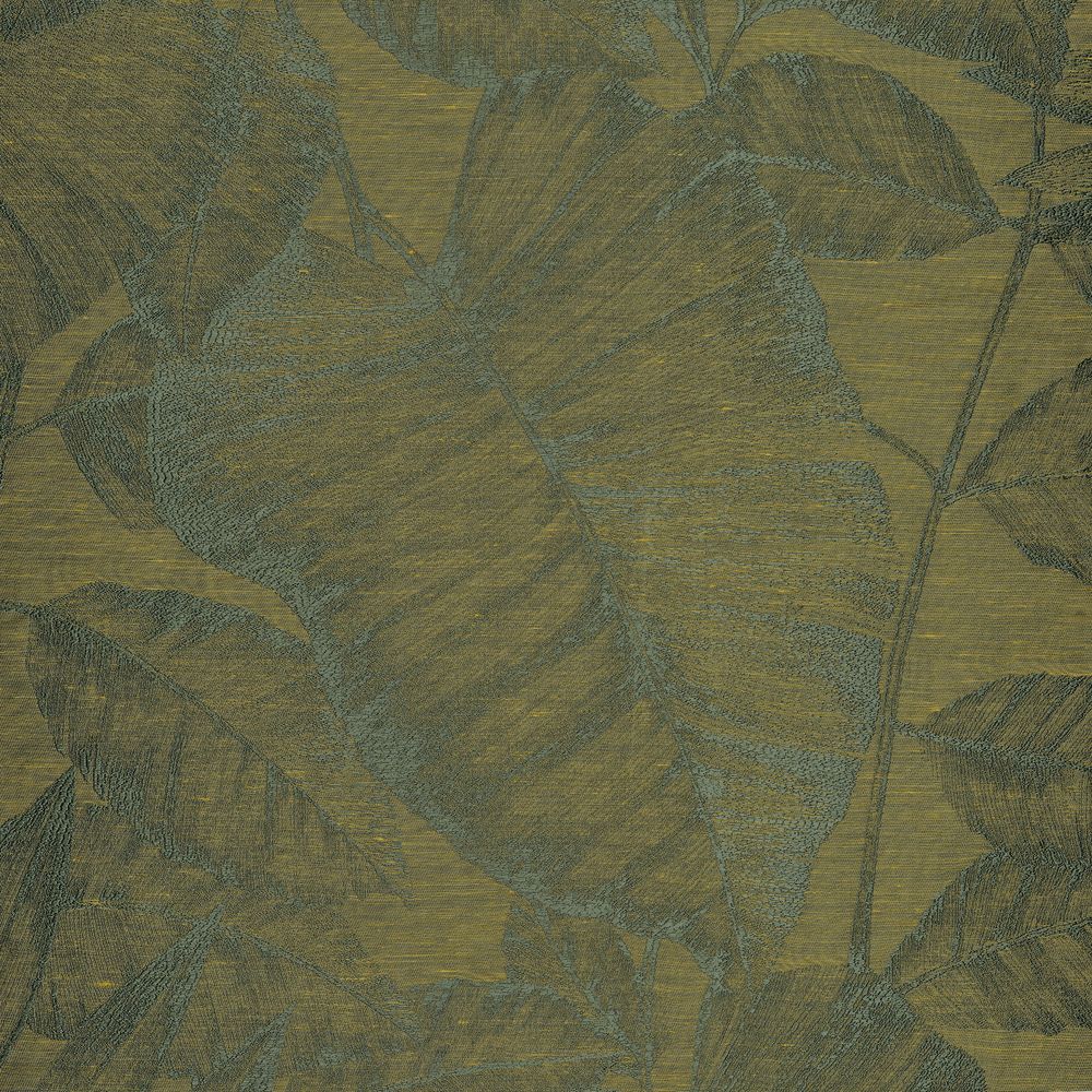 Canna Vert Mousse / Jaune