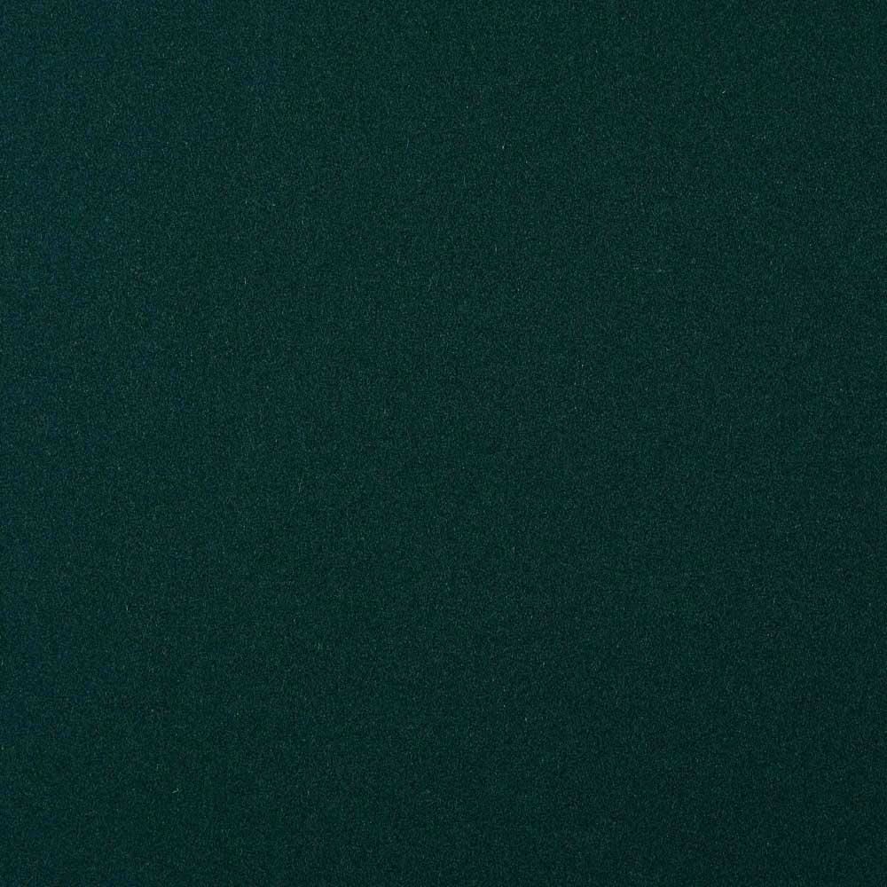 Arthur's Seat Green Forest