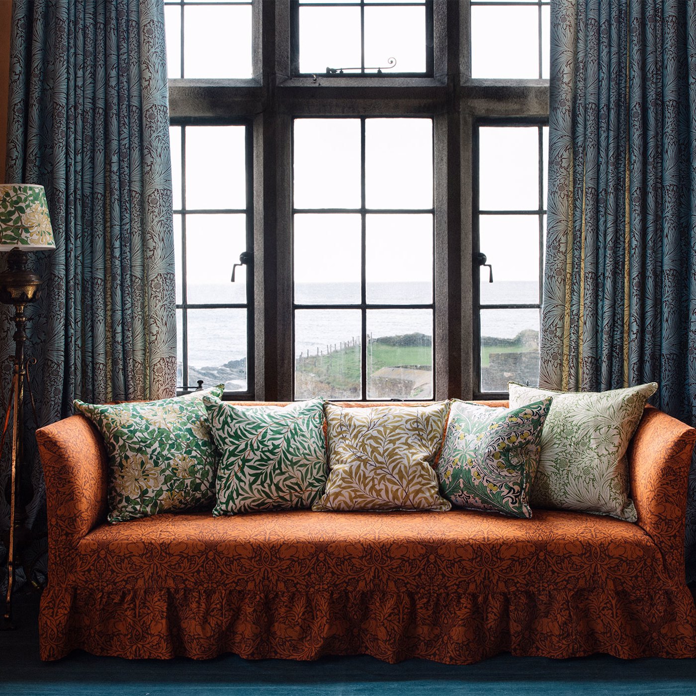 Marigold - Sky / Chocolate