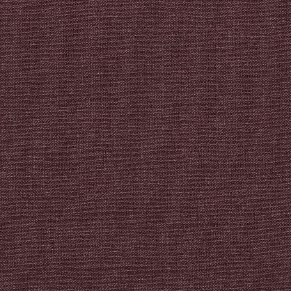 Paris Texas Hortensia