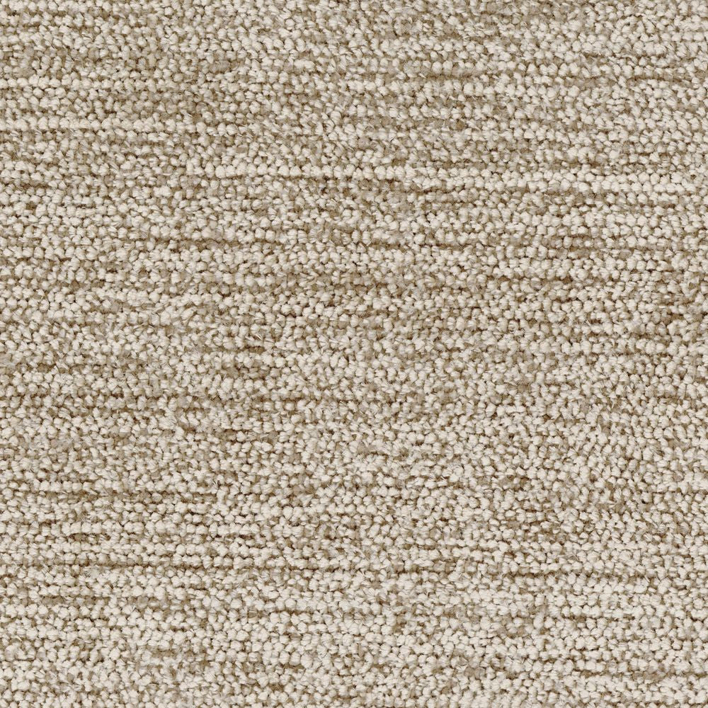 Radieuse Tourterelle