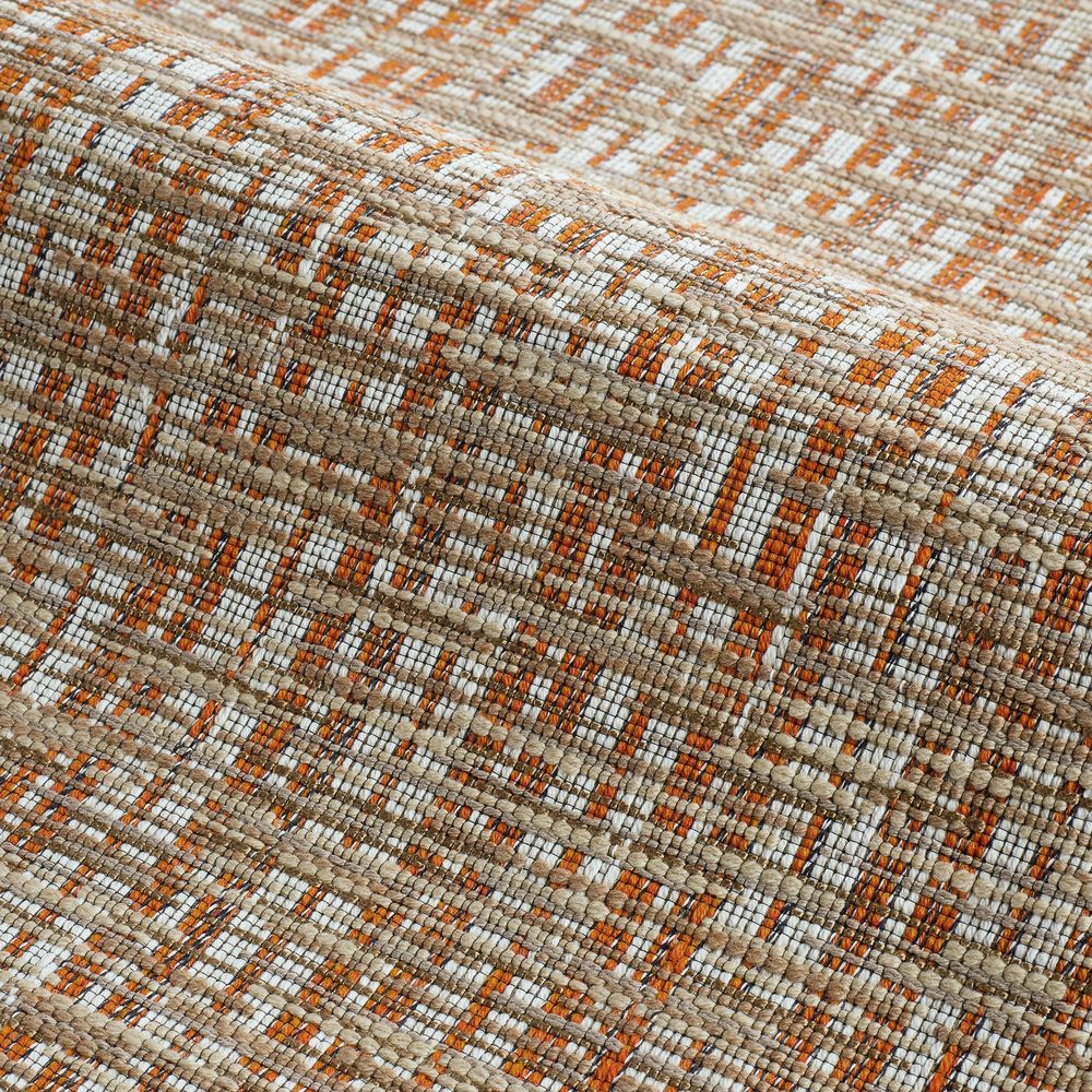 Terre Des Artistes Salamandre