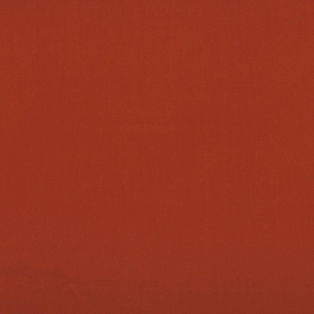 Aphrodite Oange Brulee