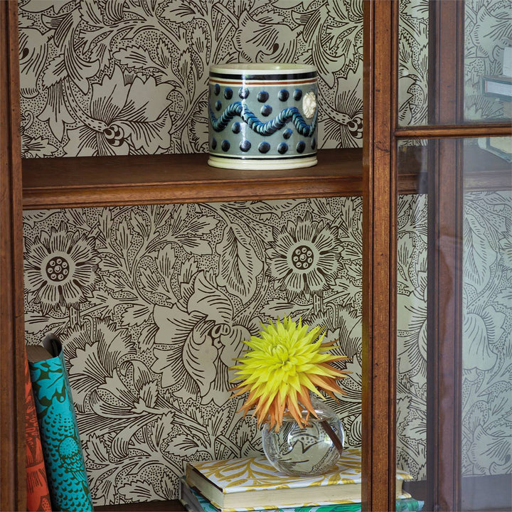 Poppy - Cream / Chocolate