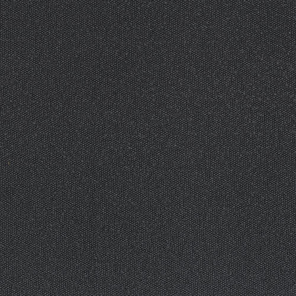 Taiga Anthracite
