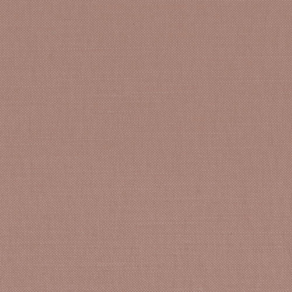 Paris Texas Rose Des Sables