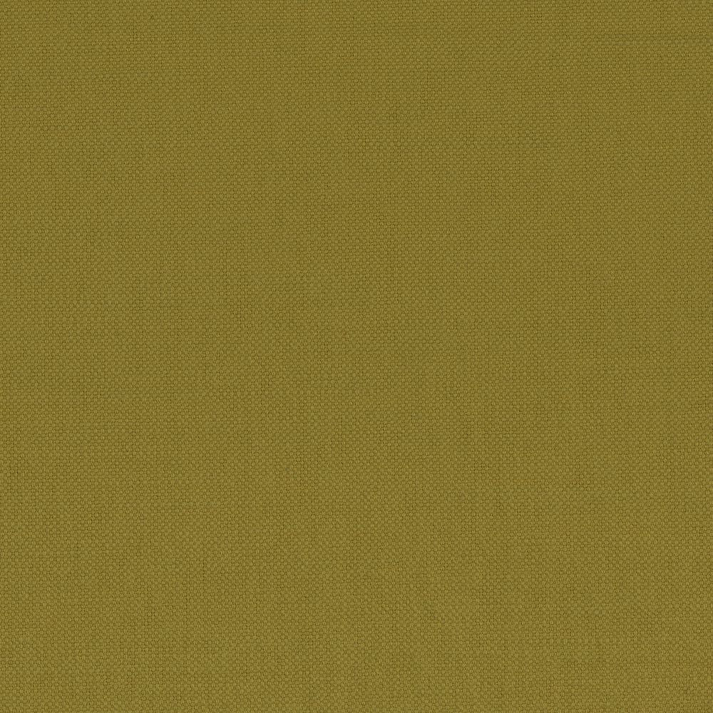 Paris Texas 5 Olive