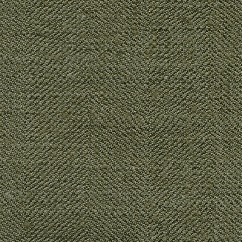 Renishaw - Fern