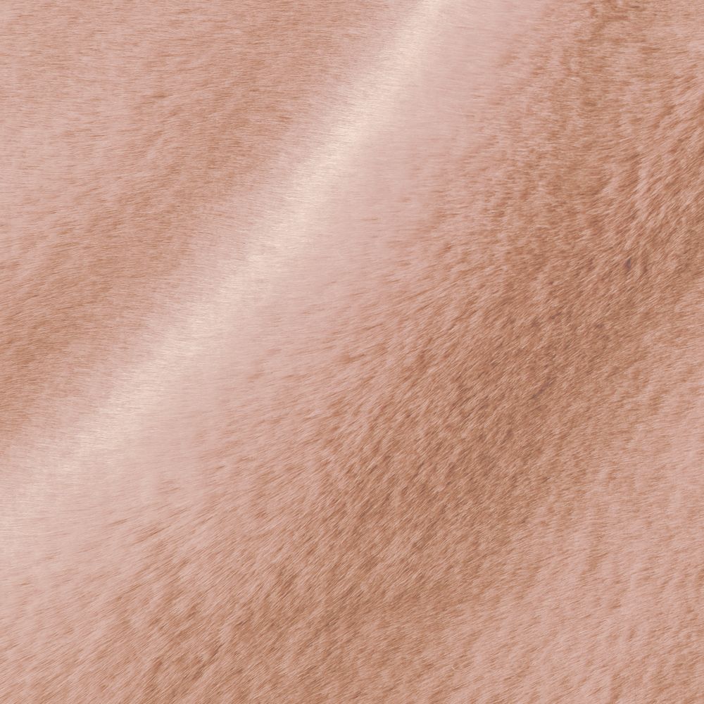 Montparnos Rose Poudre