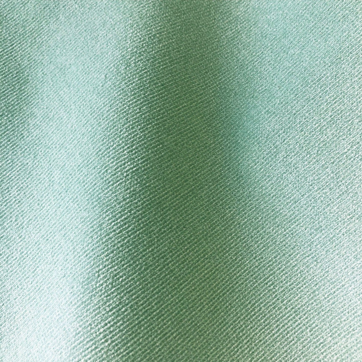 Safari - Duck Egg