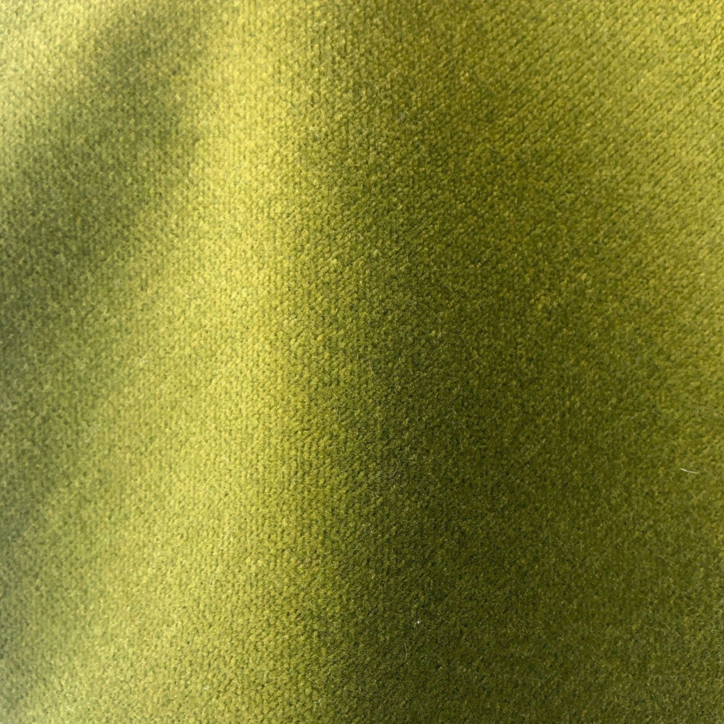 Safari - Moss