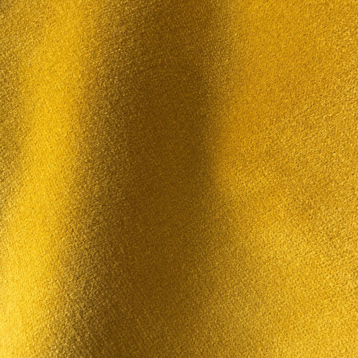 Safari - Old Gold