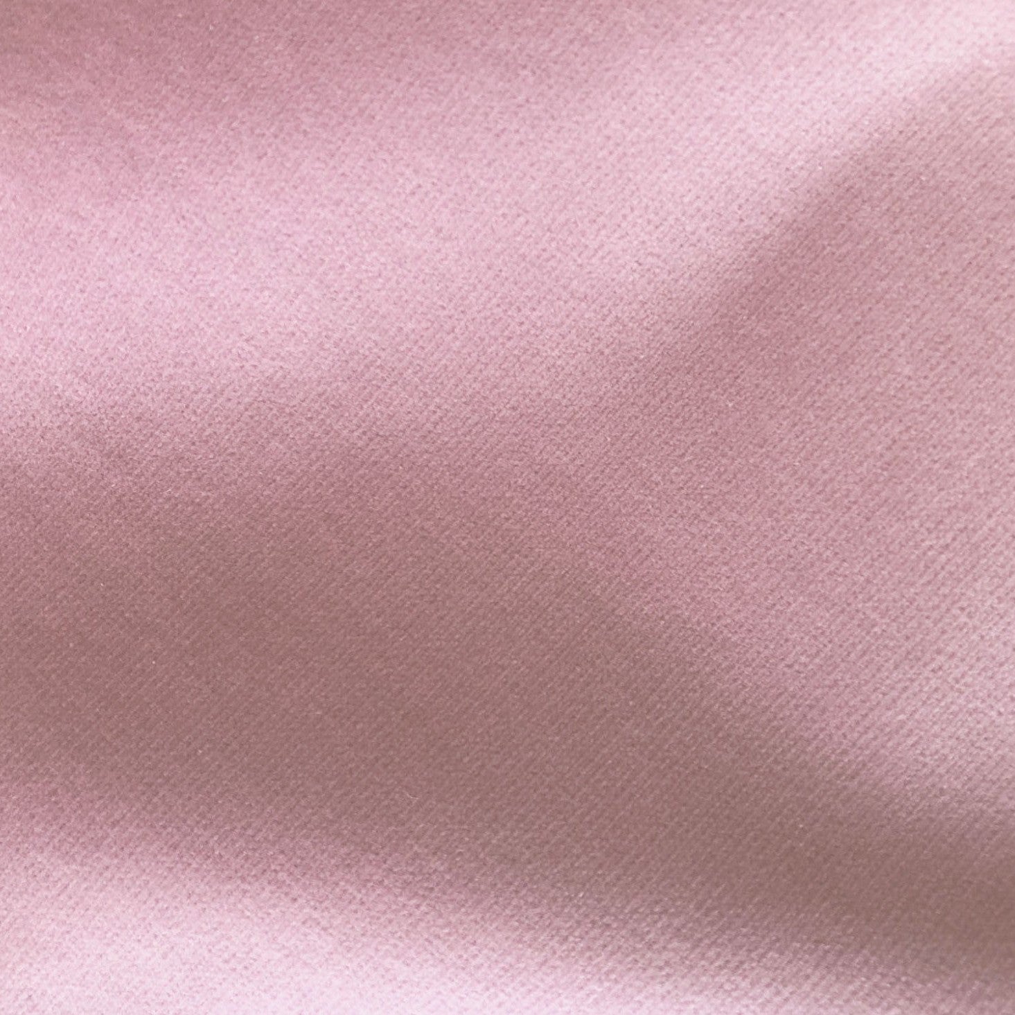 Safari - Lilac