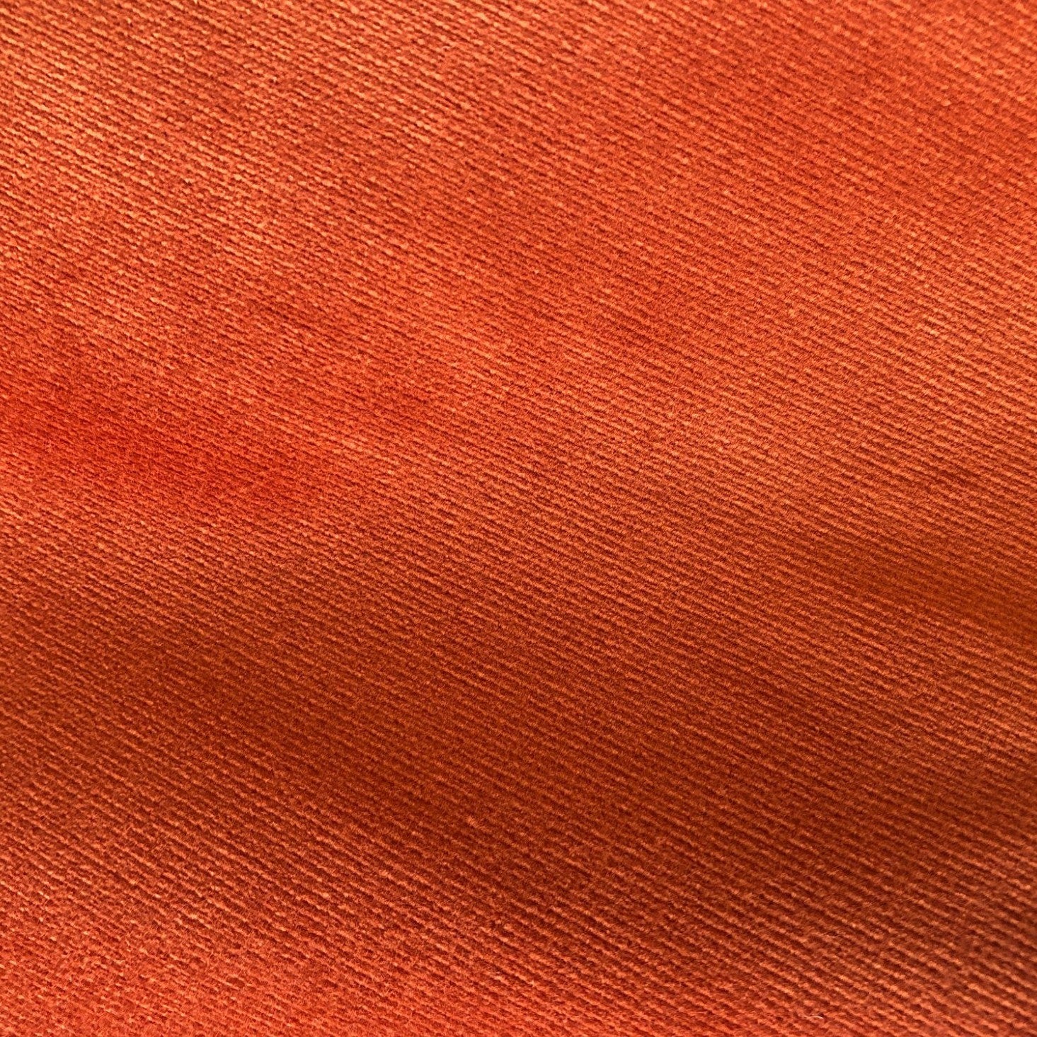 Safari - Orange