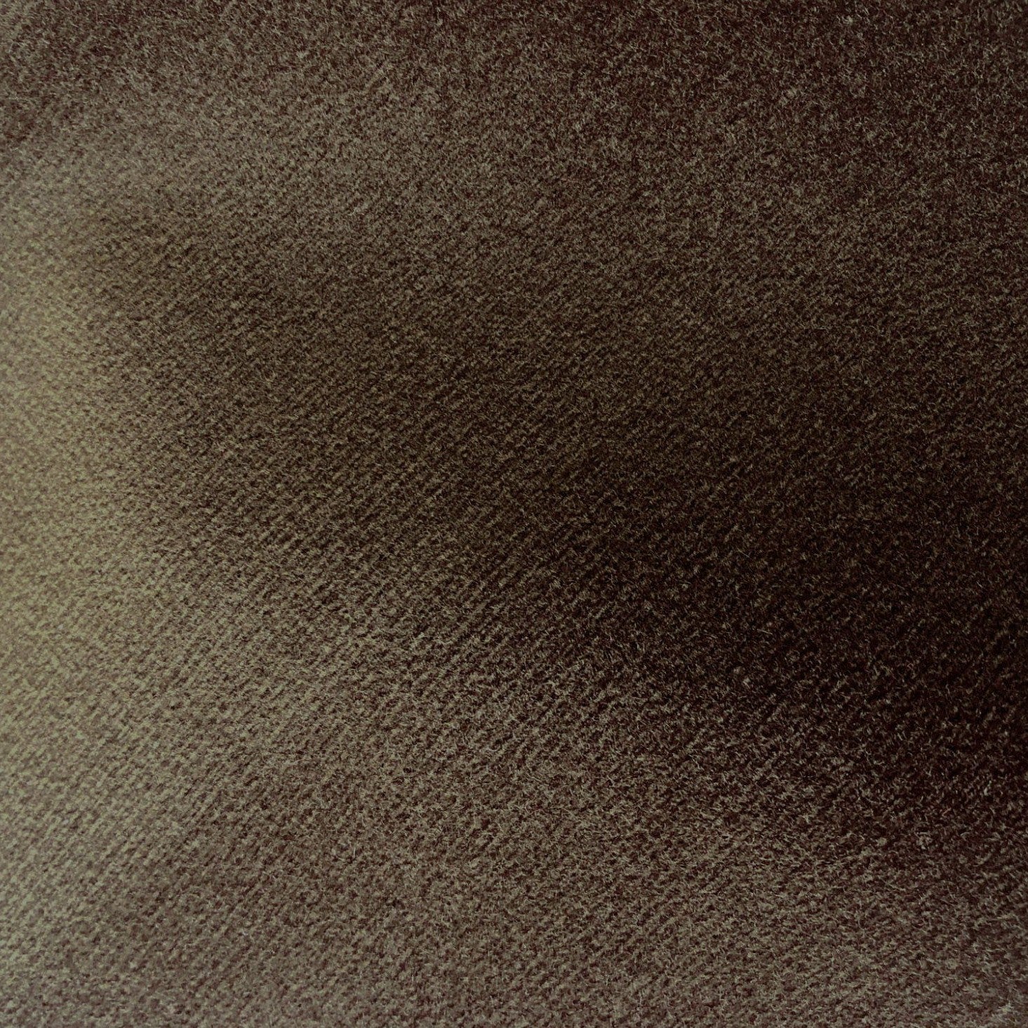 Safari - Sepia
