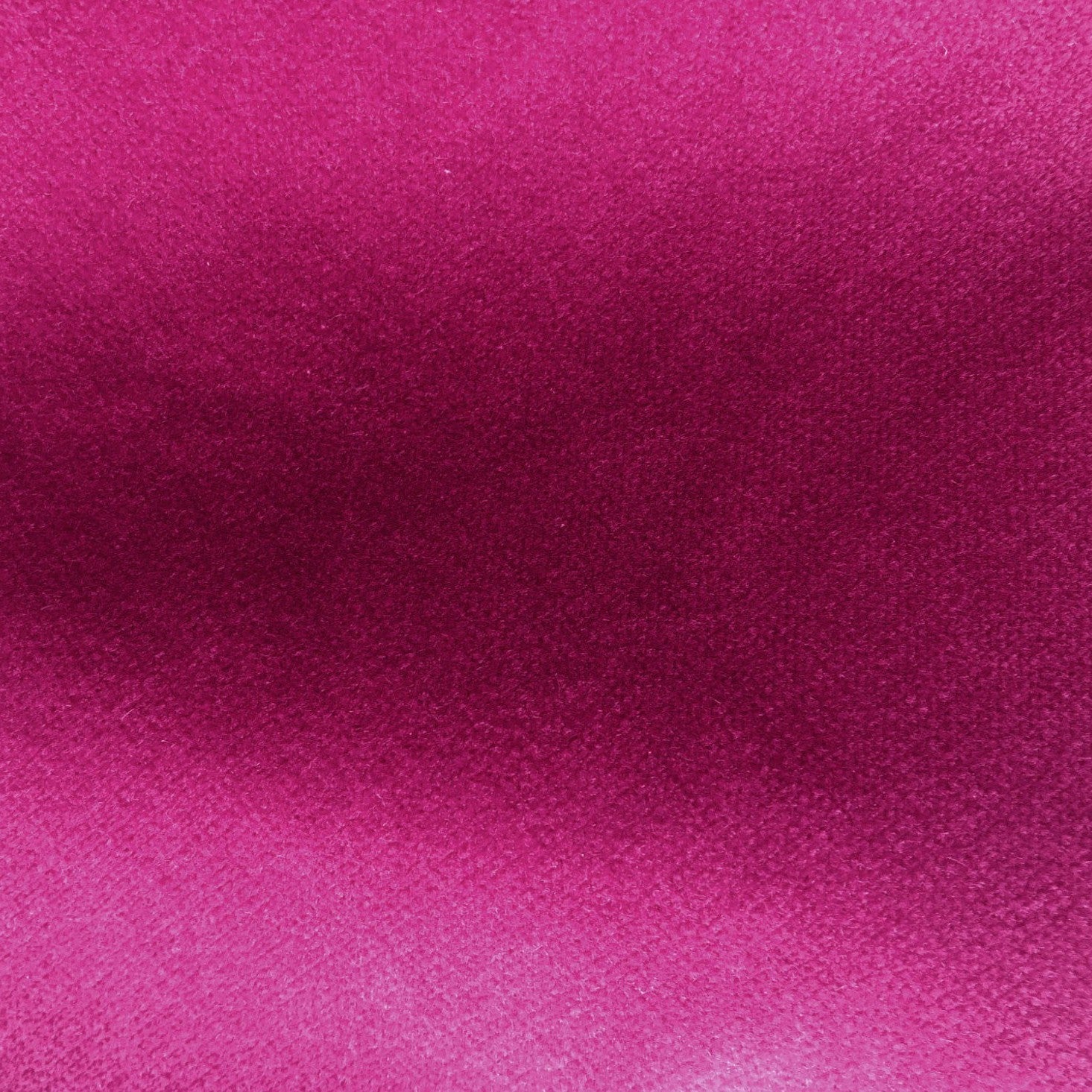 Safari - Cerise