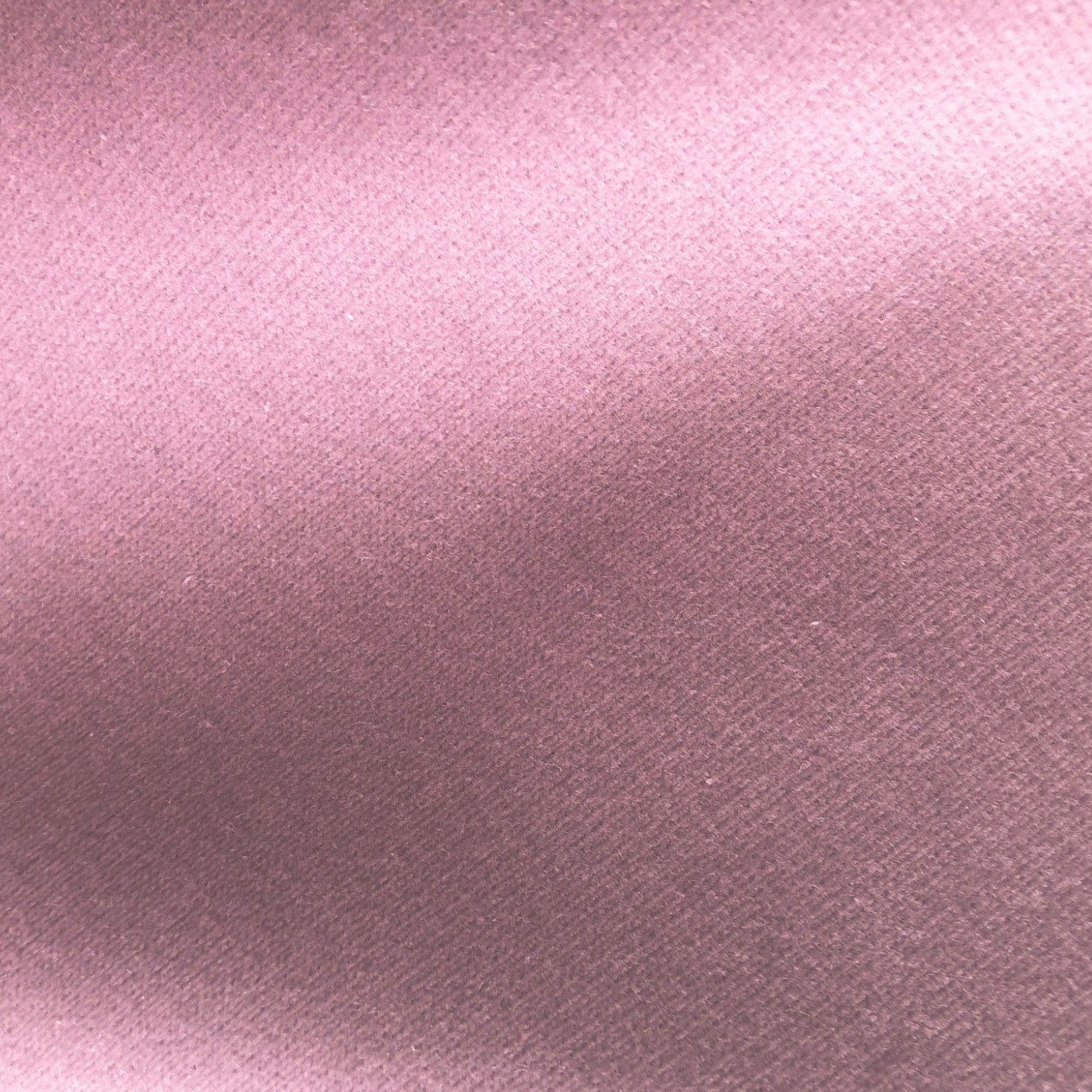 Safari - Heather