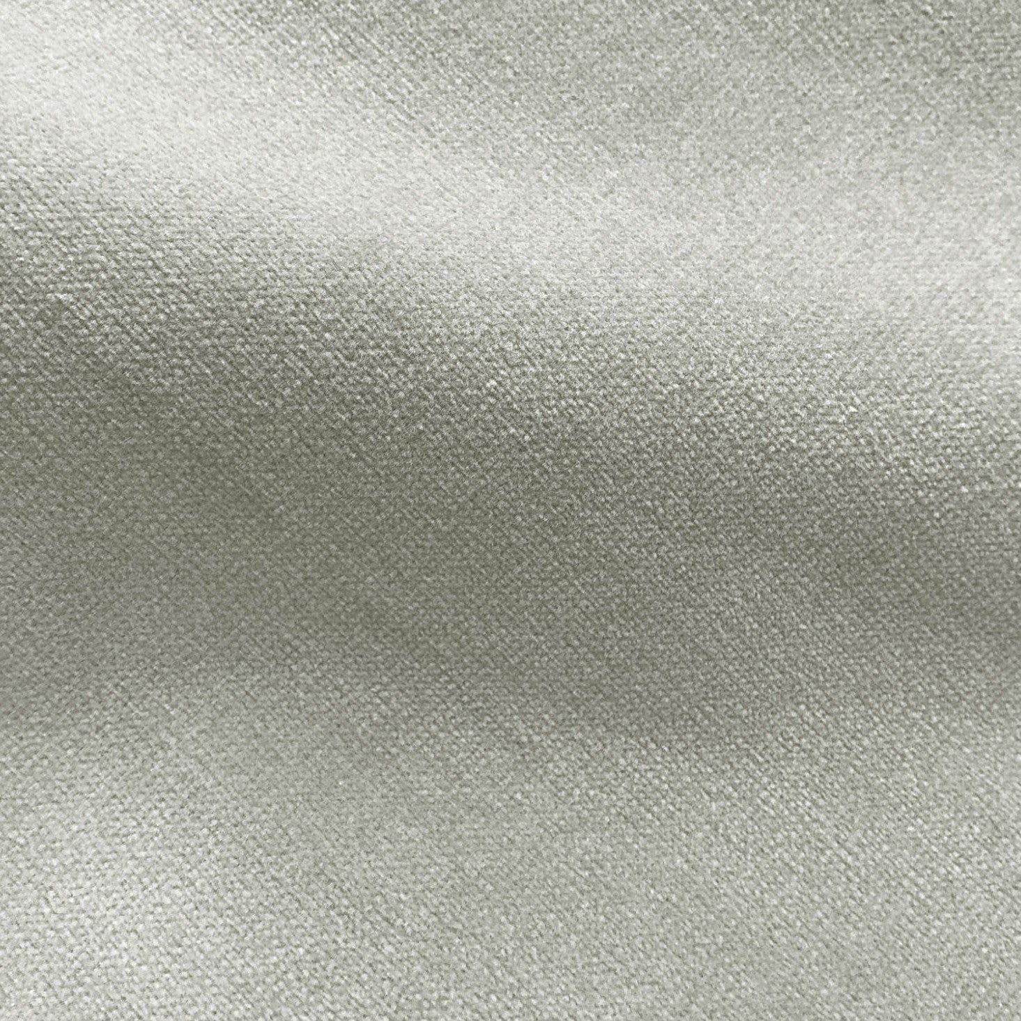 Safari - Grey