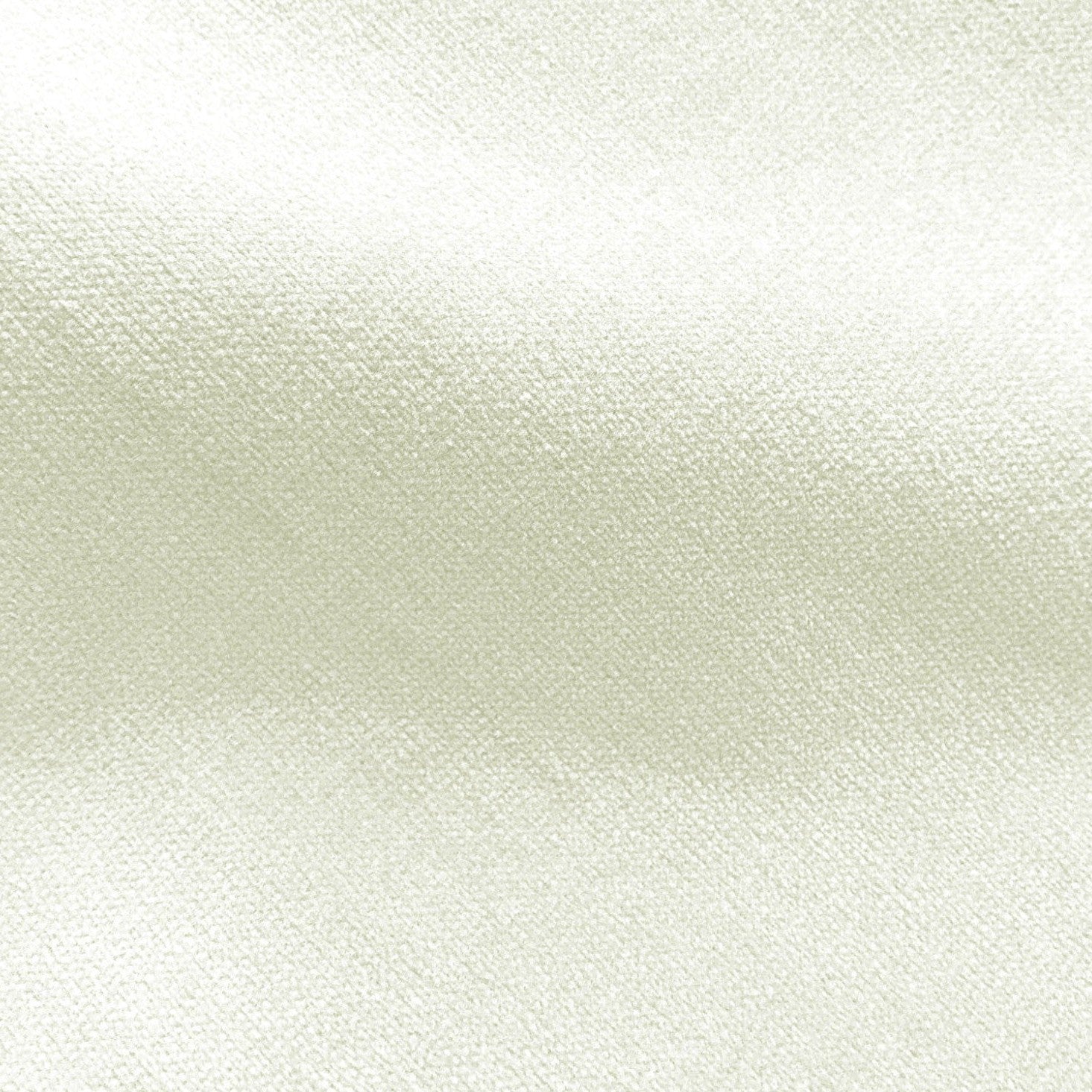 Safari - Blanc