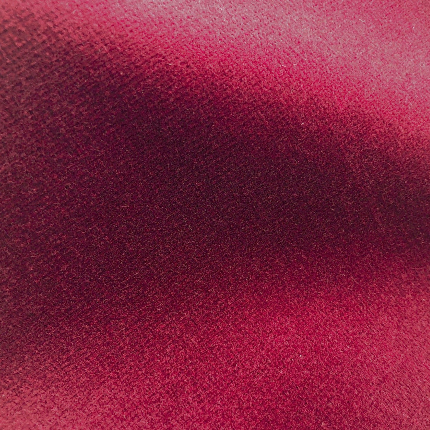 Safari - Berry
