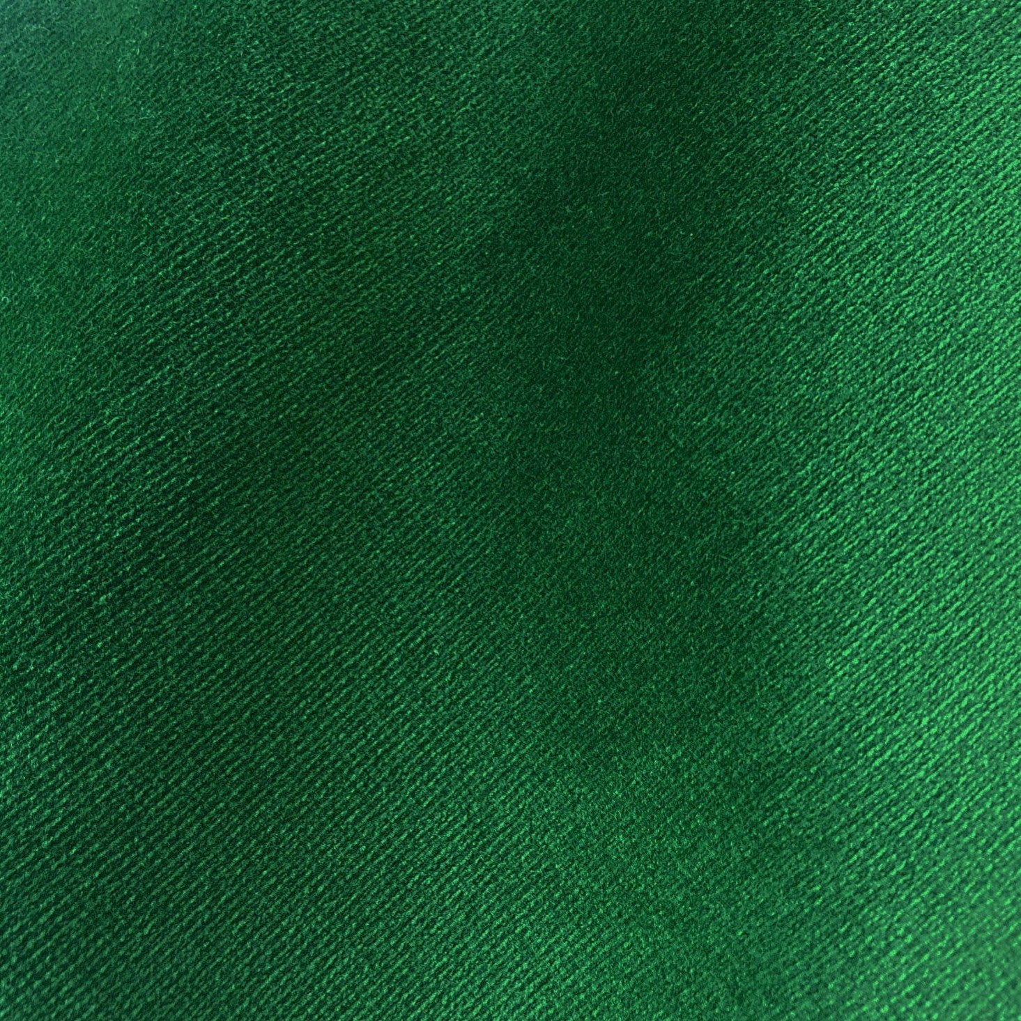 Safari - Spruce