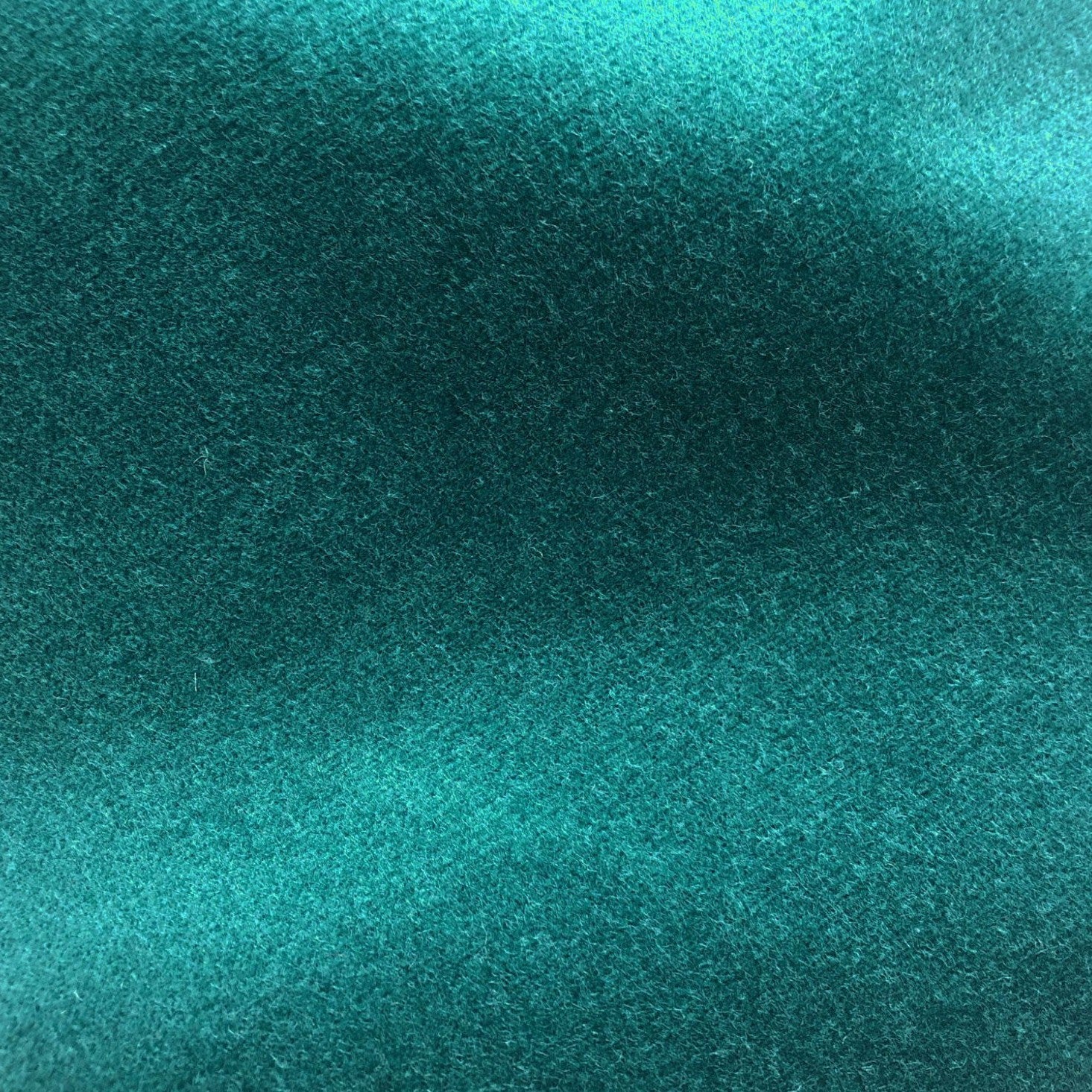 Safari - Teal