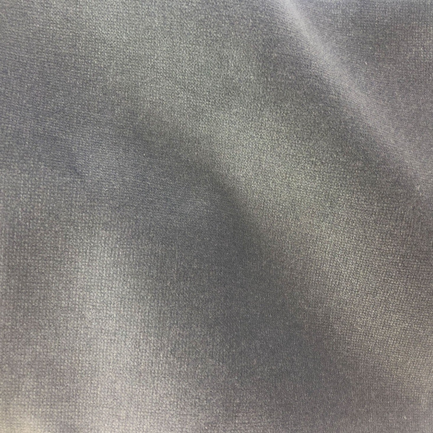 Safari - Nickel