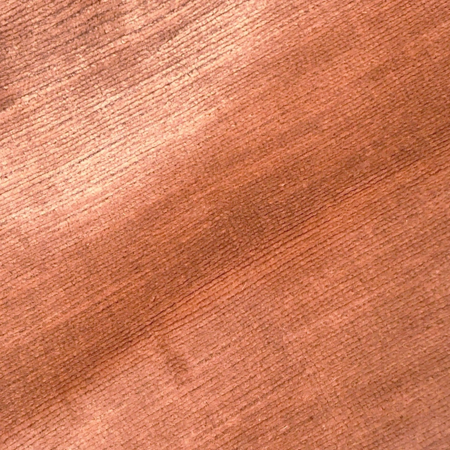 Titian - Coral