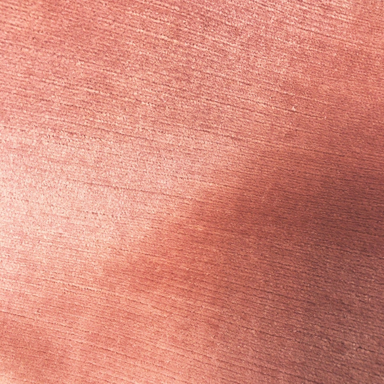 Titian - Guava