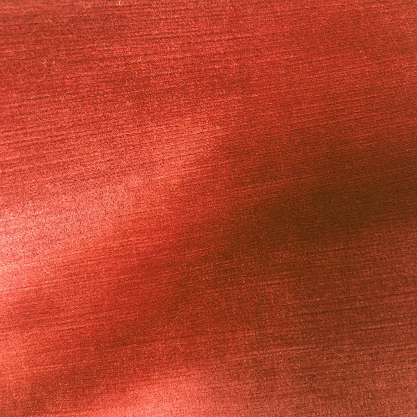 Titian - Poppy