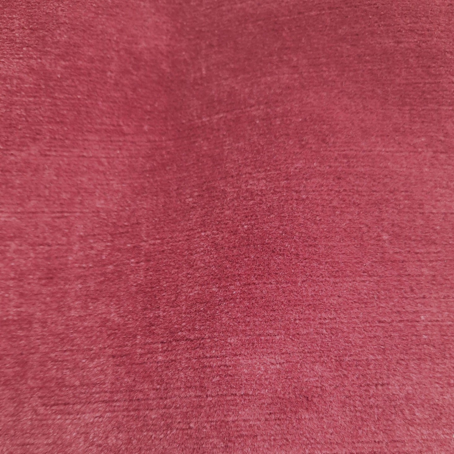 Titian - Pimento