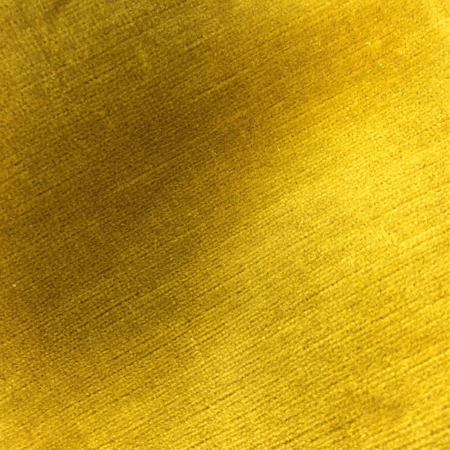 Titian - Gold