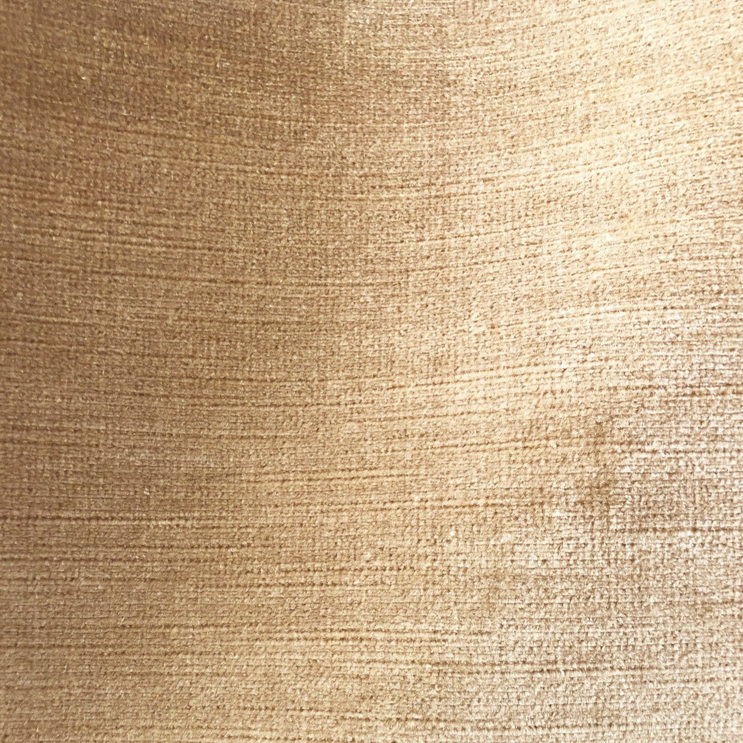 Titian - Beige