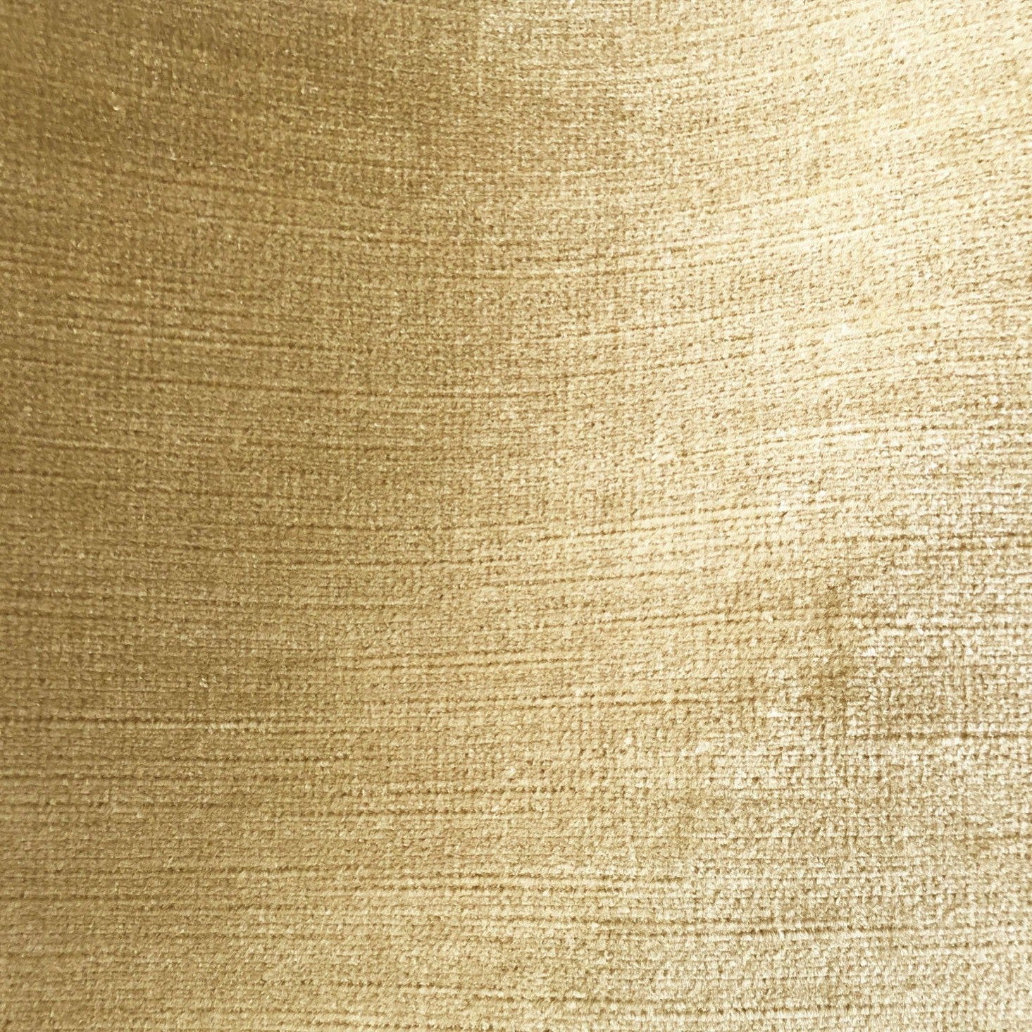 Titian - Hazel