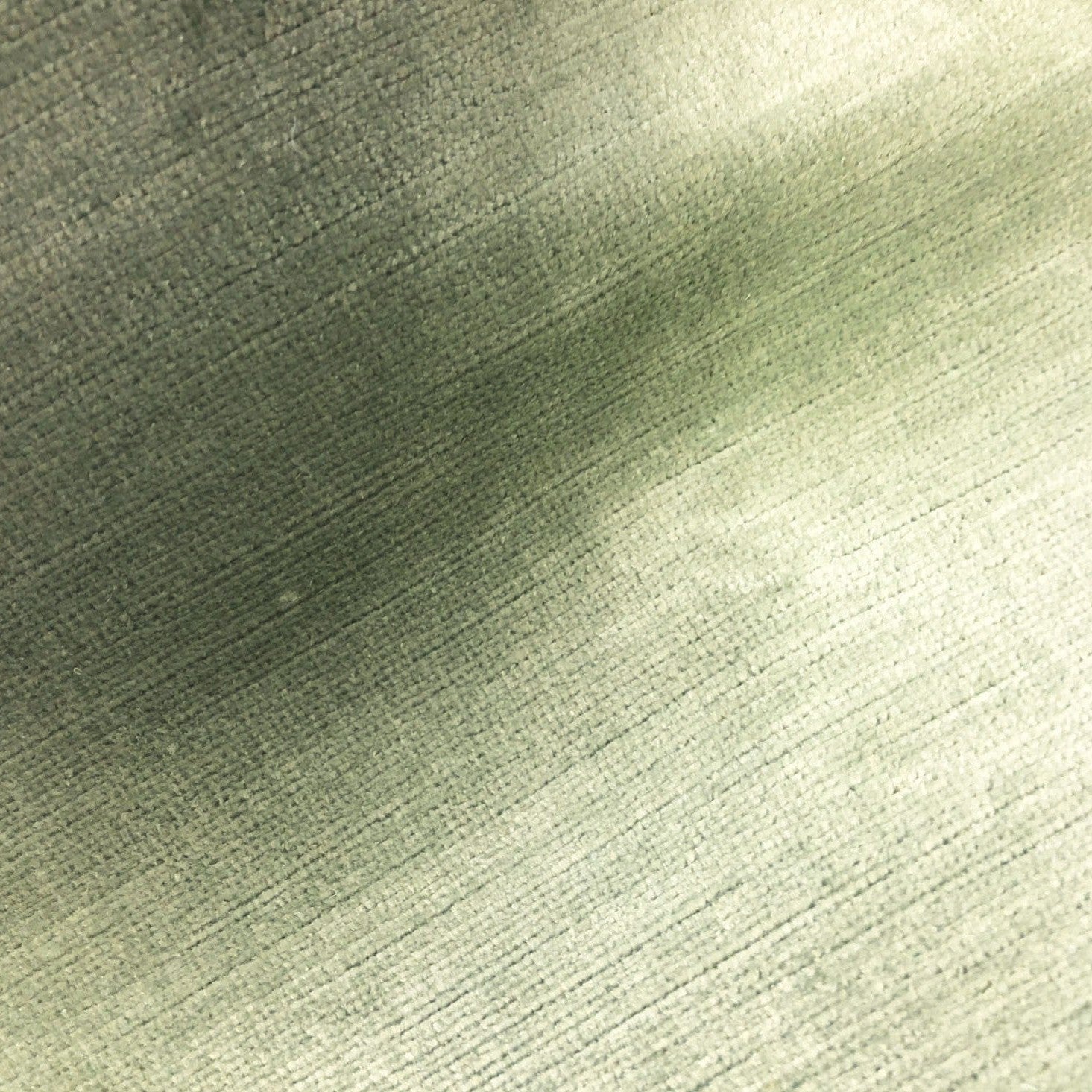 Titian - Sage
