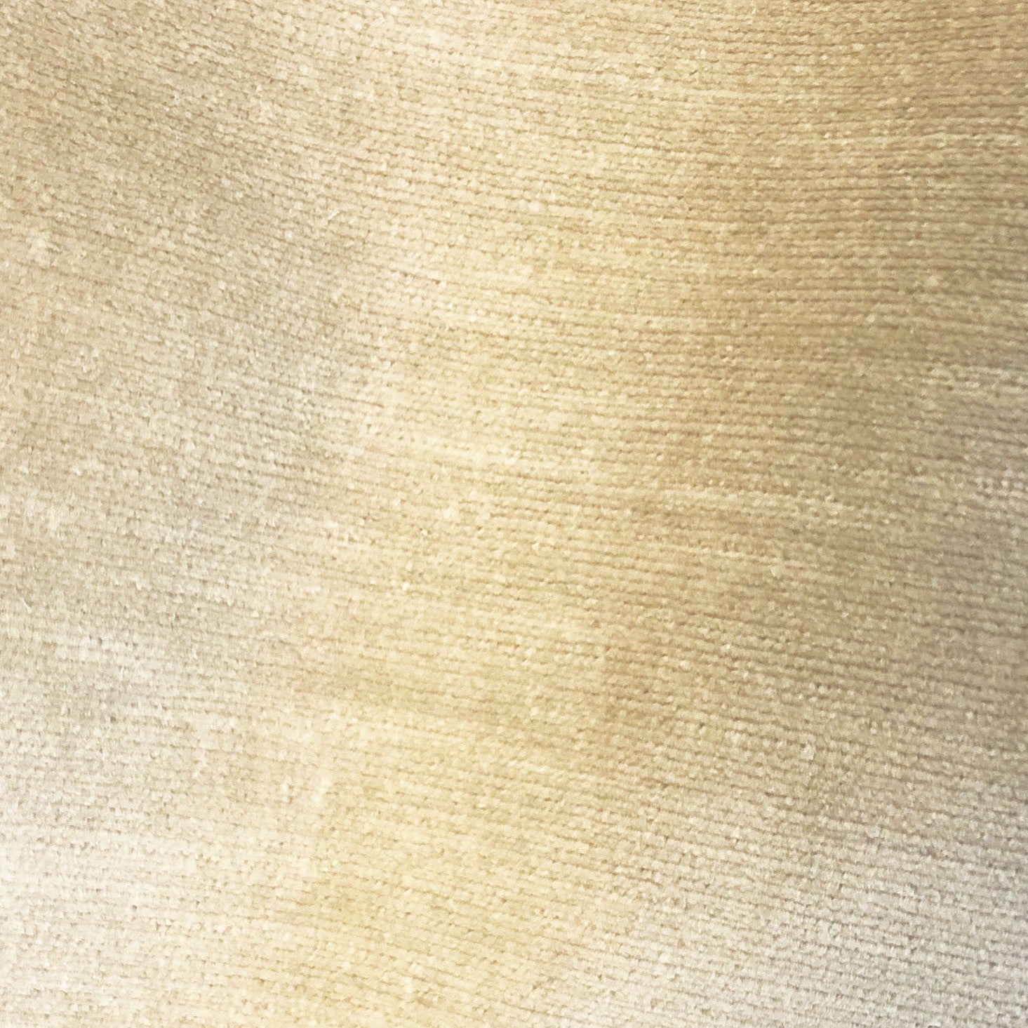 Titian - Vellum