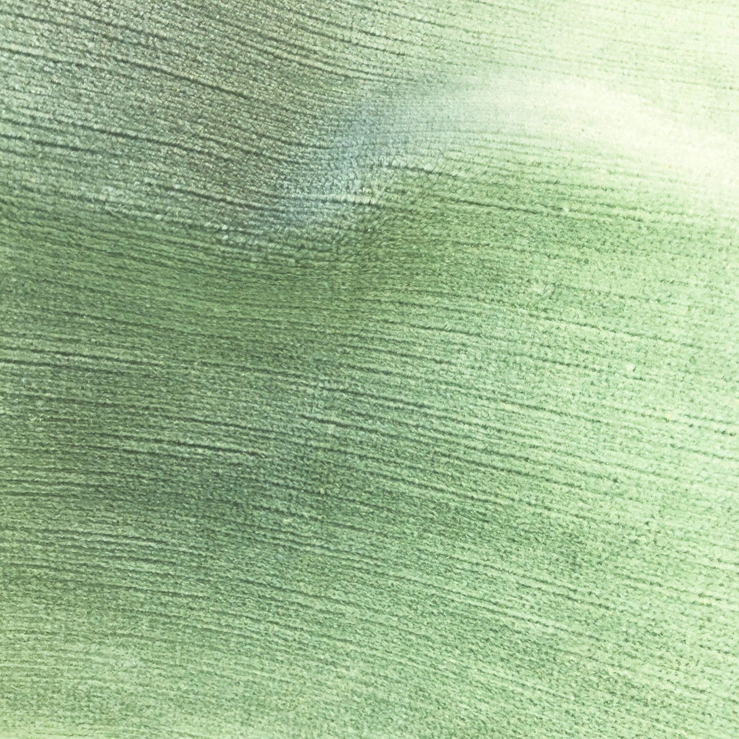 Titian - Mint