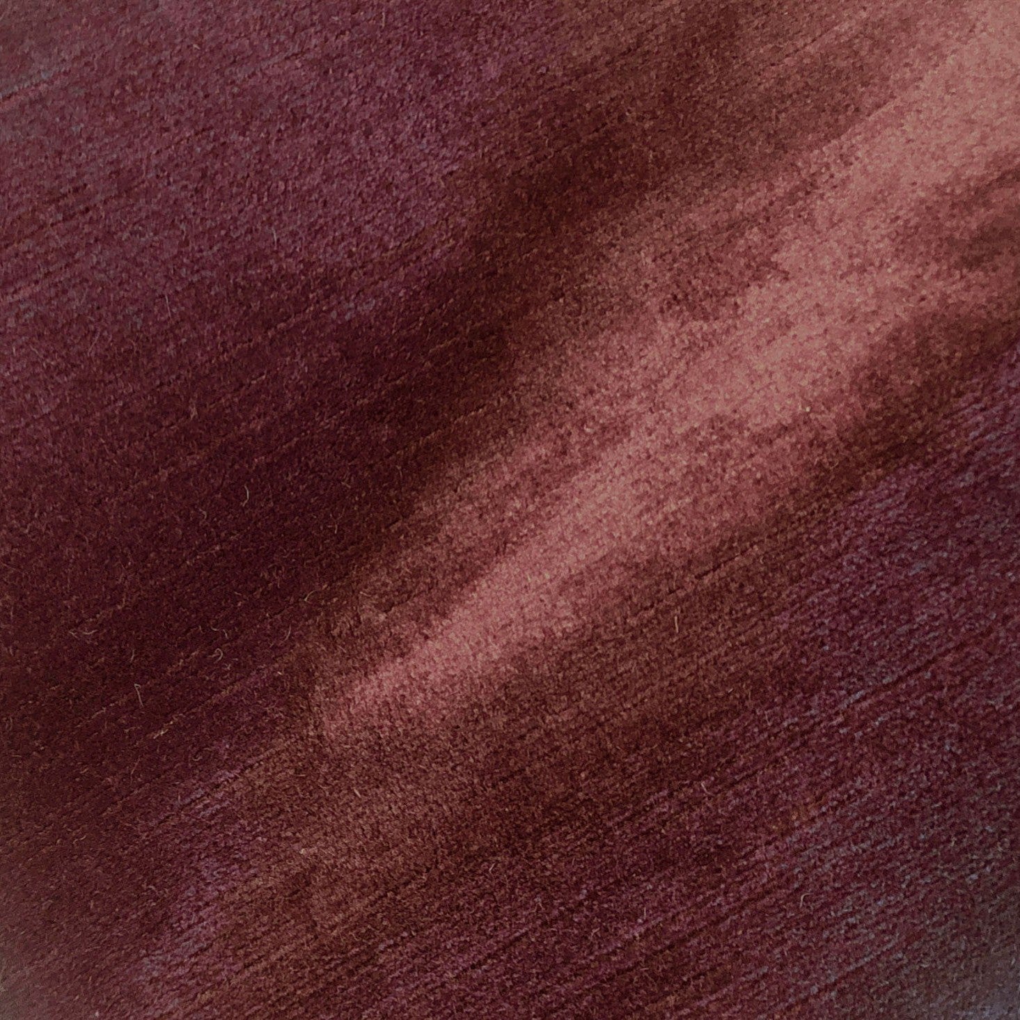 Titian - Aubergine