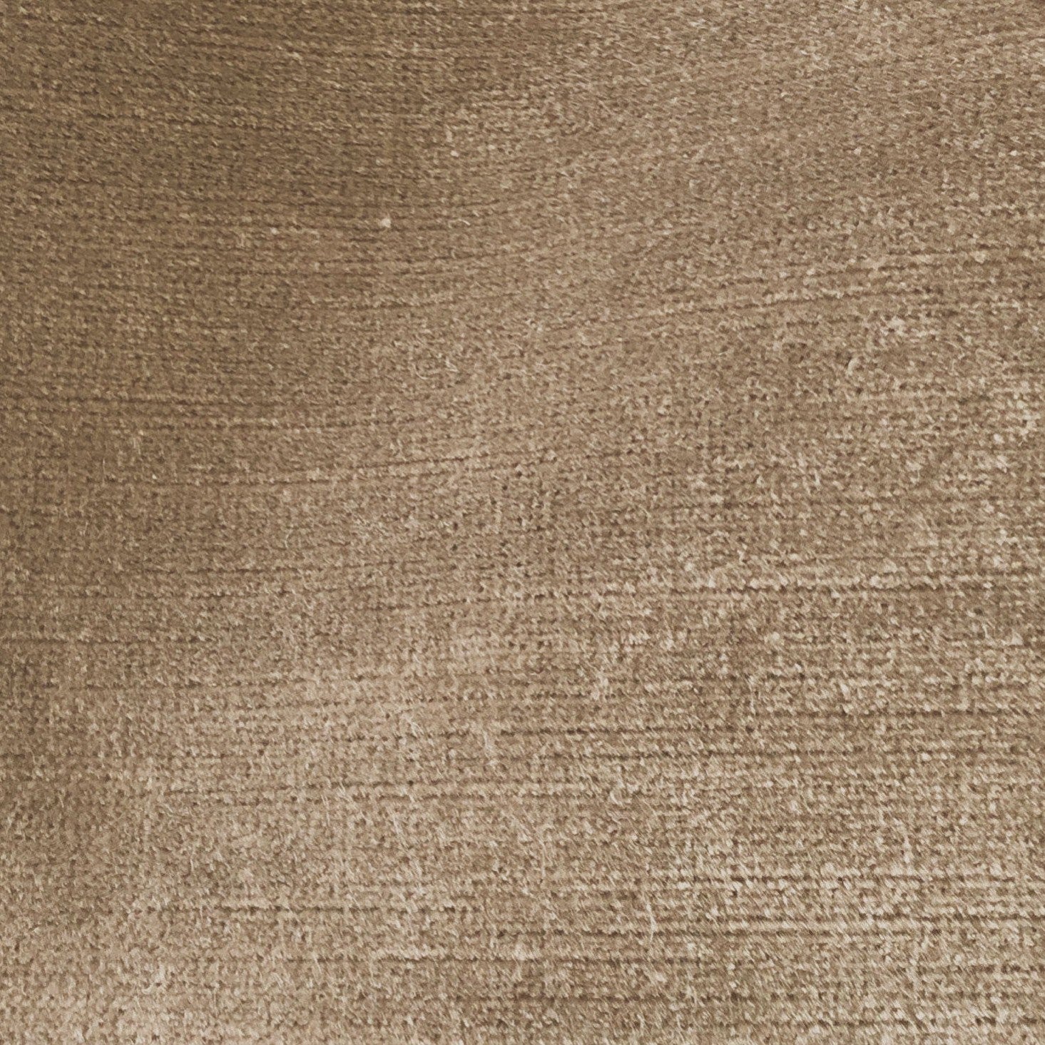 Titian - Mole