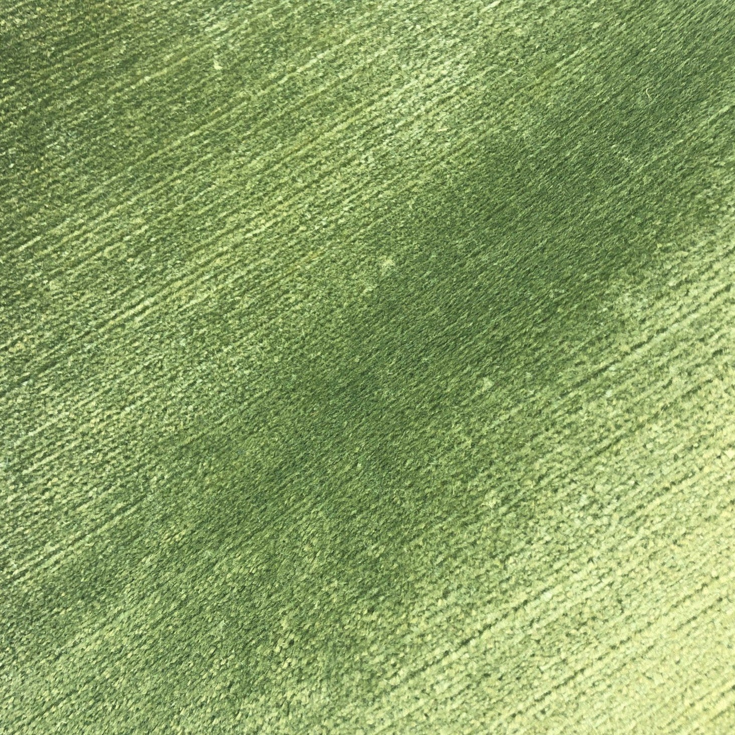 Titian - Olive