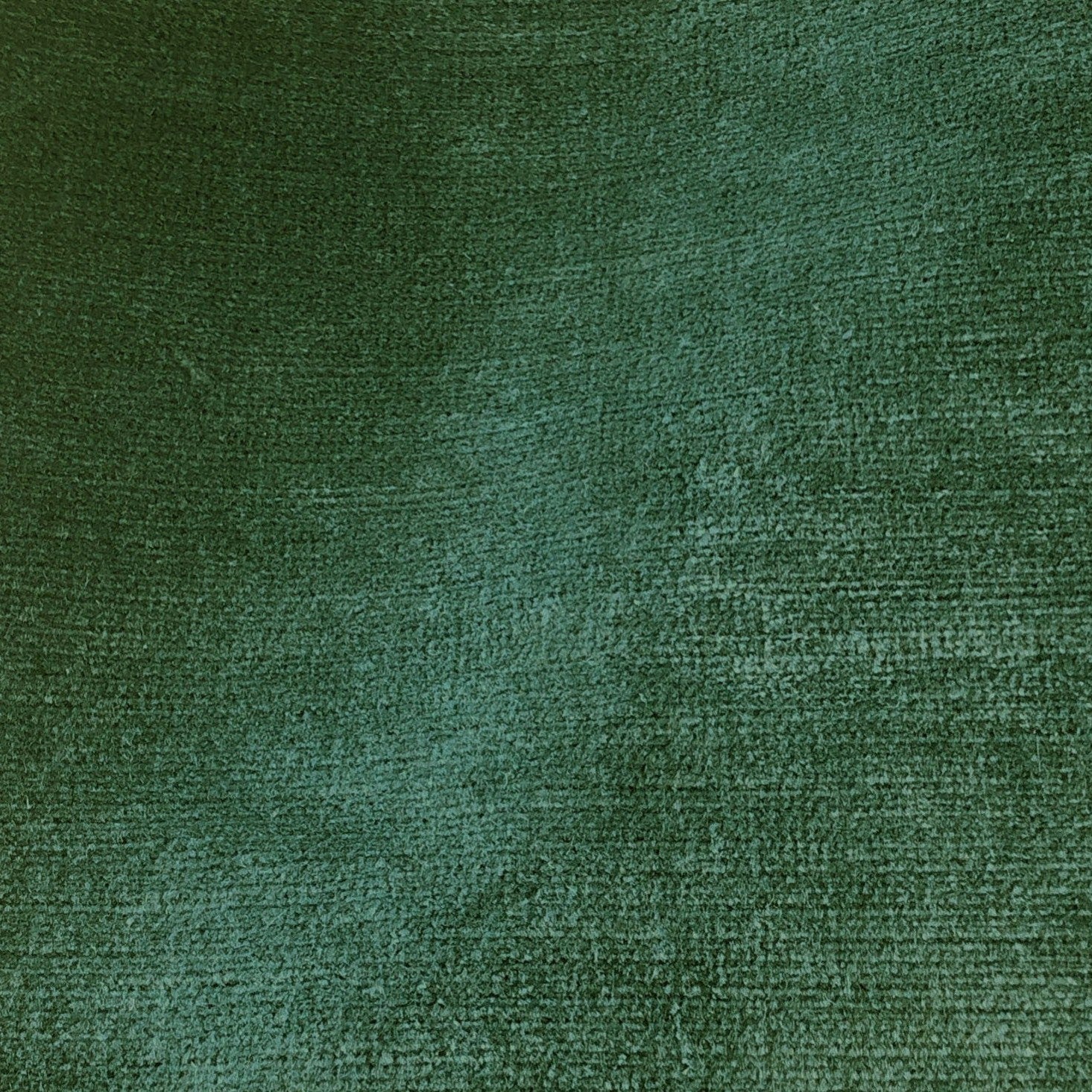 Titian - Pine