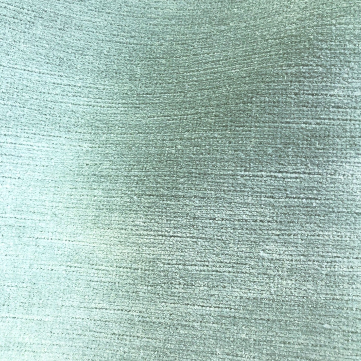 Titian - Duck Egg