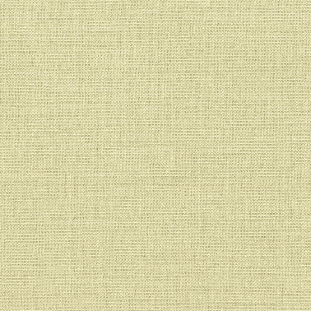 Paris Texas Lichen Clair