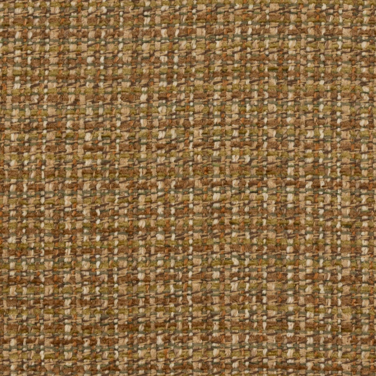 Trastevere - Giardino