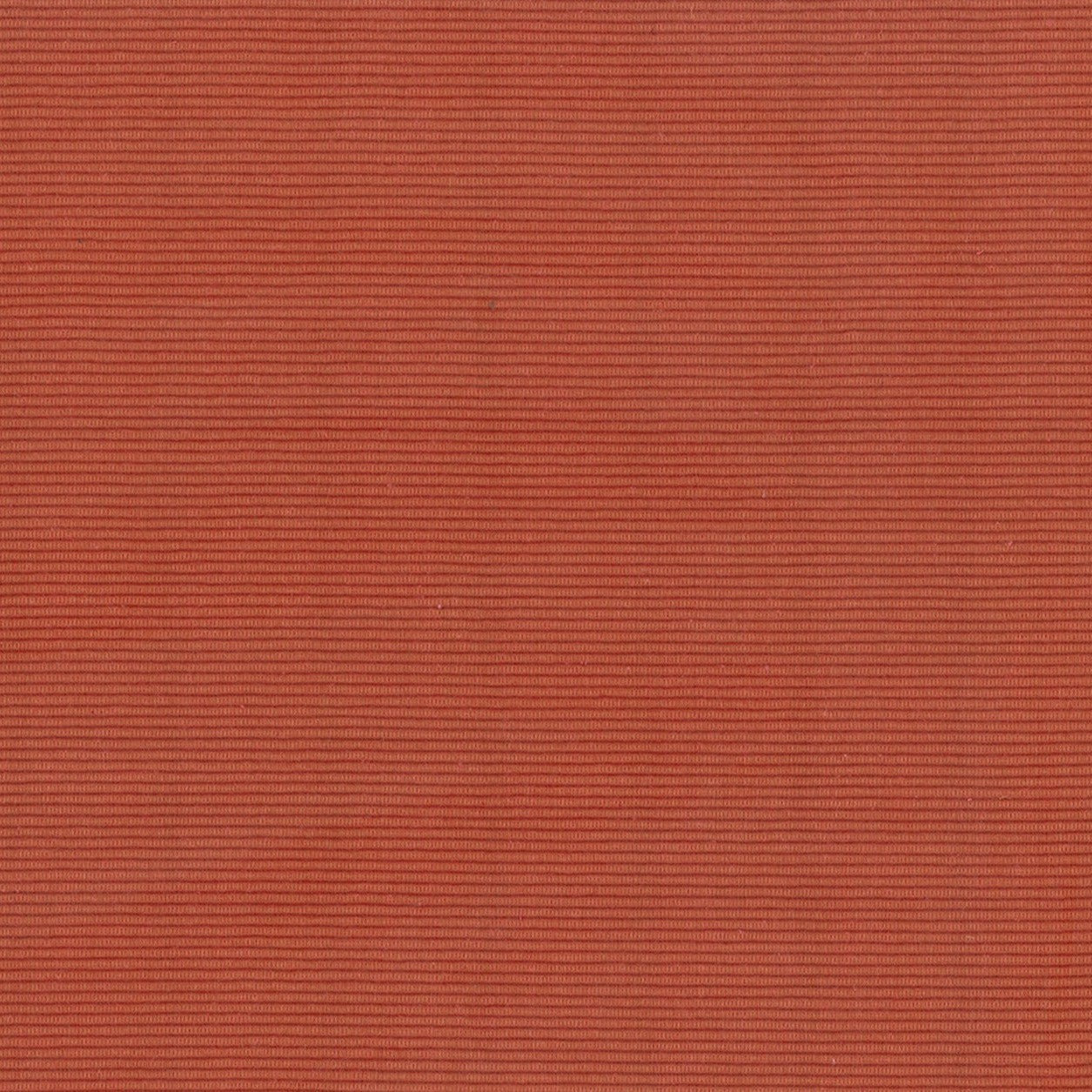 Venus Moire - Sienna