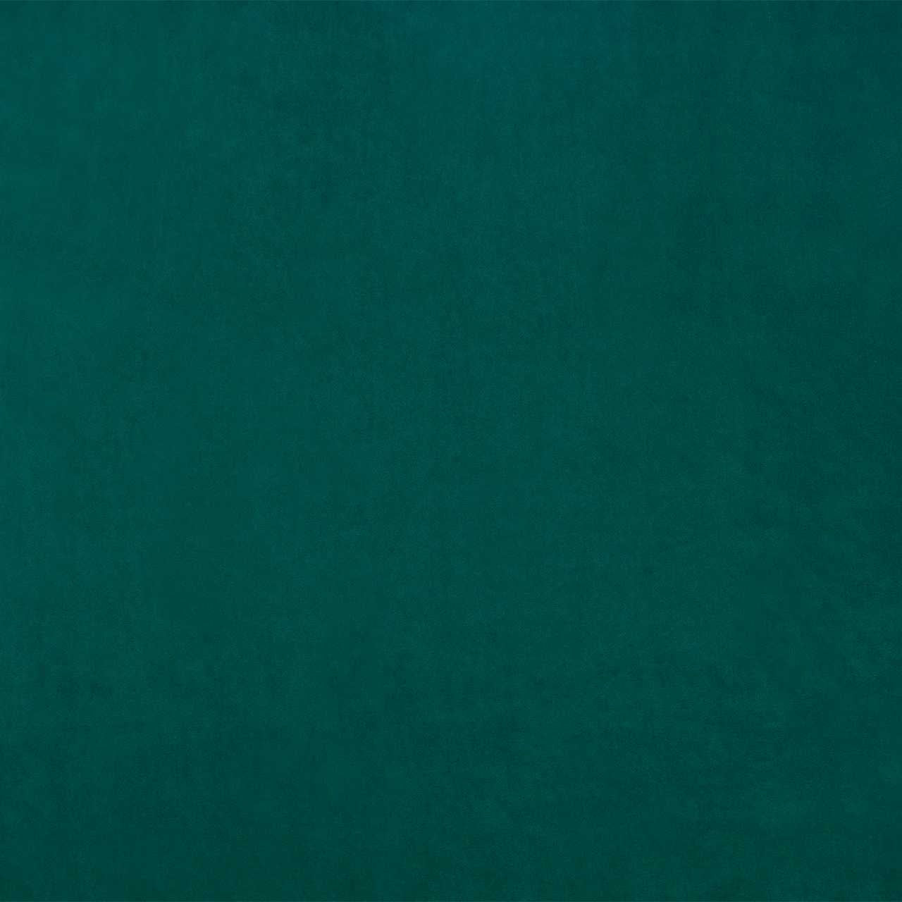 Gambetta - Bleu Canard