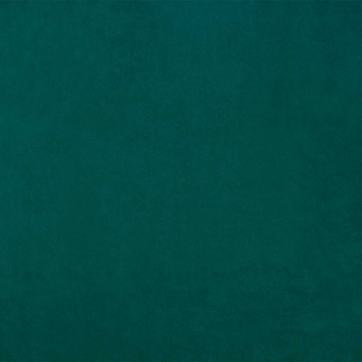 Gambetta - Bleu Canard