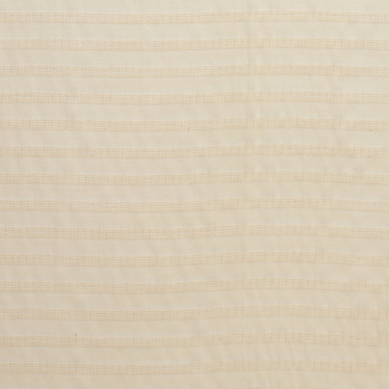 Sheer Whisper - Shell