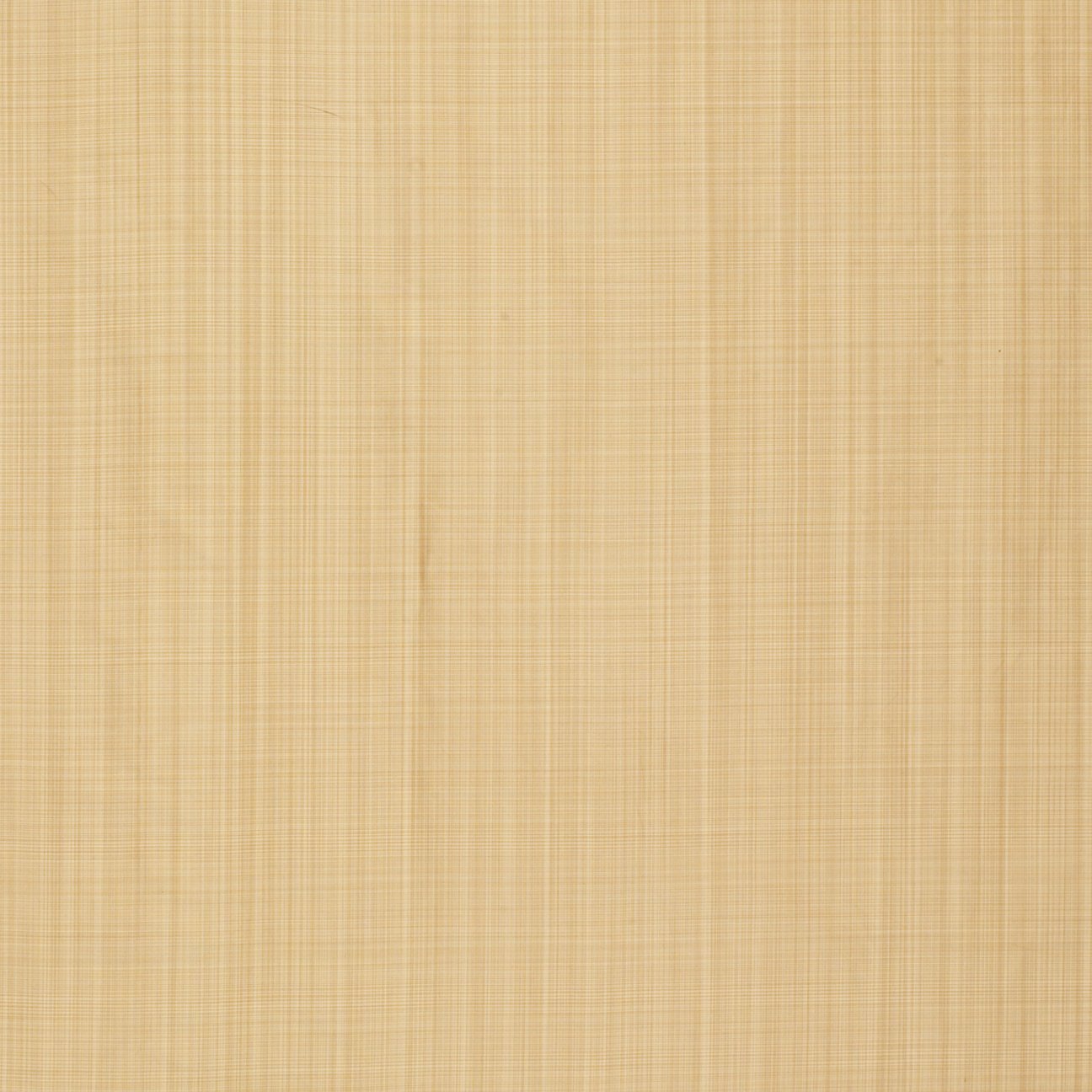 Versailles - Biscuit