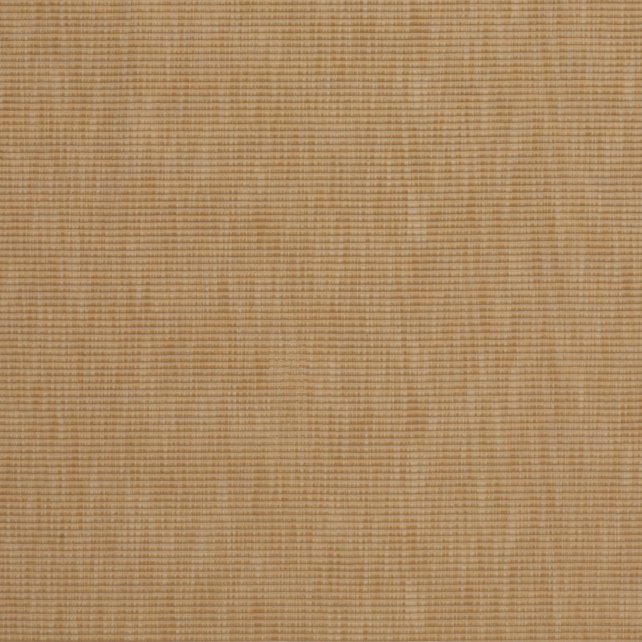 Matchsticks - Cork